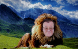 Top Leoni
